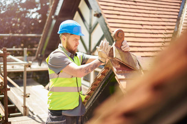 Best Gutter Installation and Roofing  in Leisure Knoll, NJ